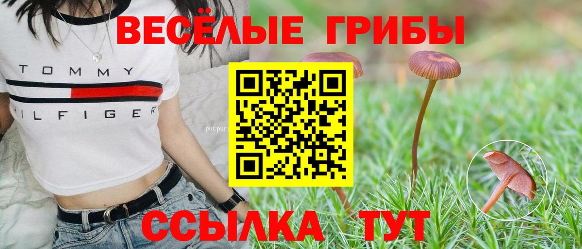 Солнечногорск  Галлюциногенные грибы MAGIC MUSHROOMS  Вход с VPN 